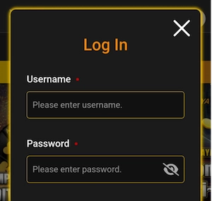 enter the username and password registered