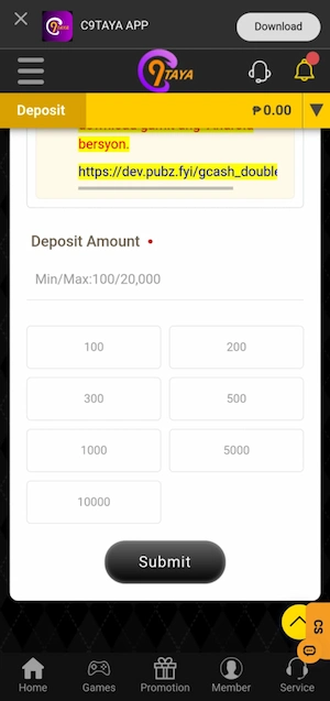 Step 3: Fill in the necessary deposit information